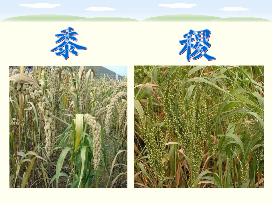 第二板块汉字家园（3） (5)_第3页