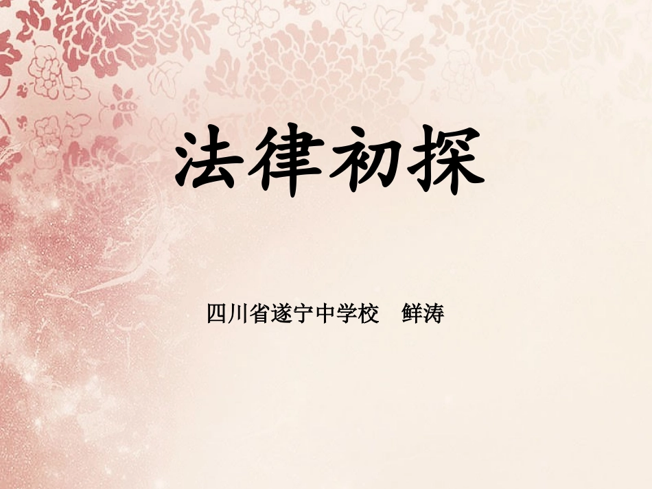 法律初探鲜涛_第1页