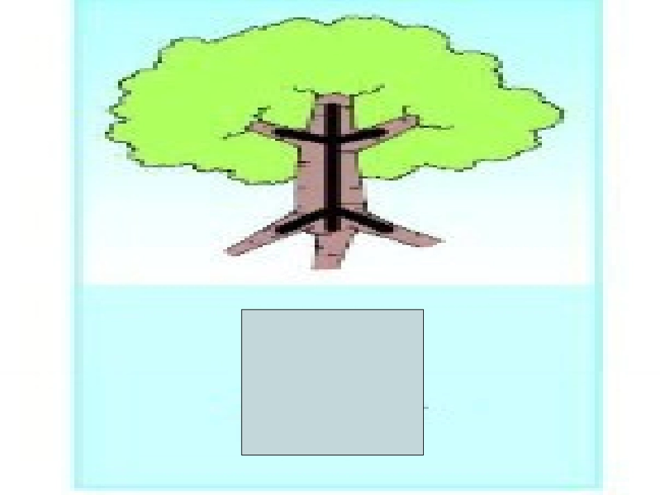 第二板块汉字家园（一）—5_第2页