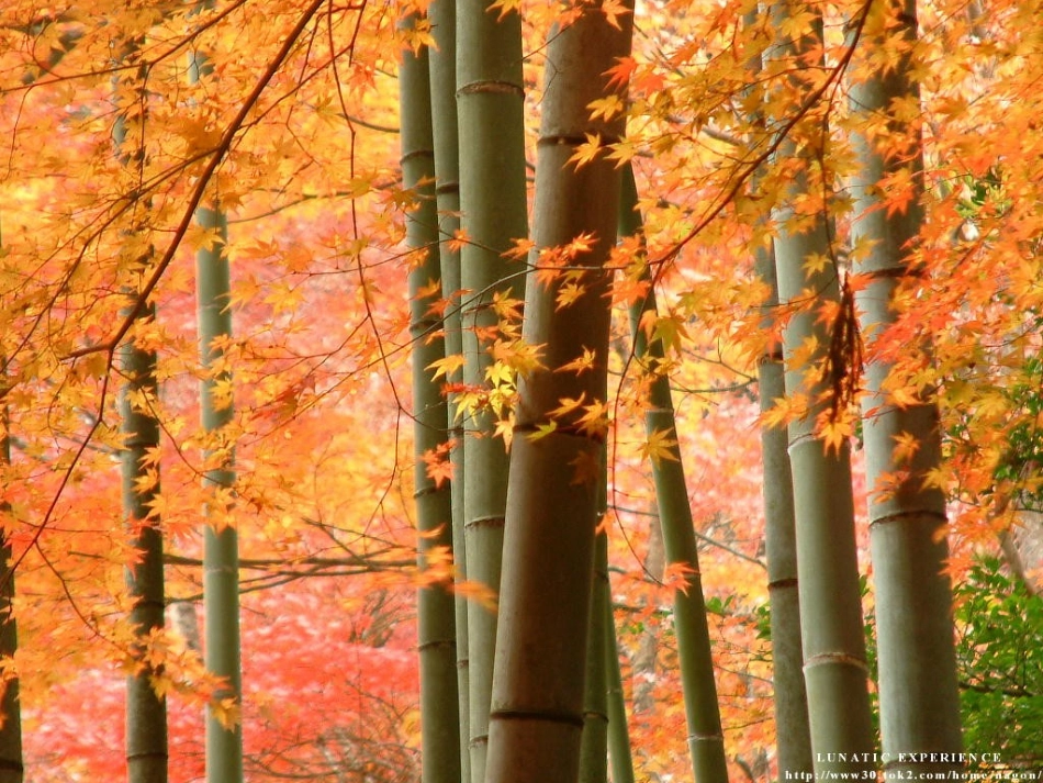 市教学比武课件_第1页