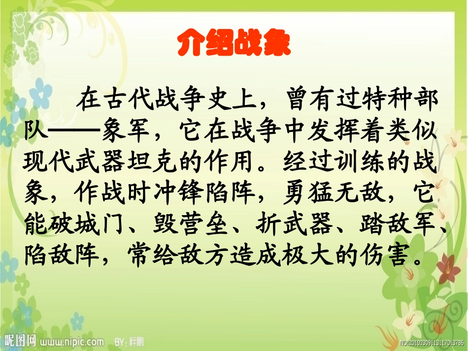 23、最后一头战象2_第2页