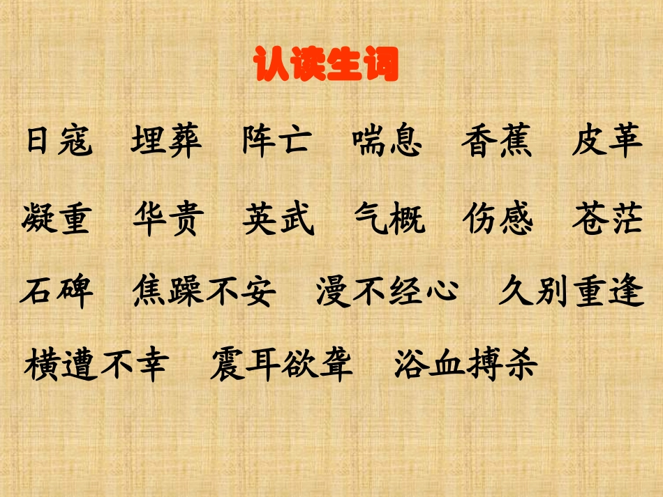 23、最后一头战象2_第3页