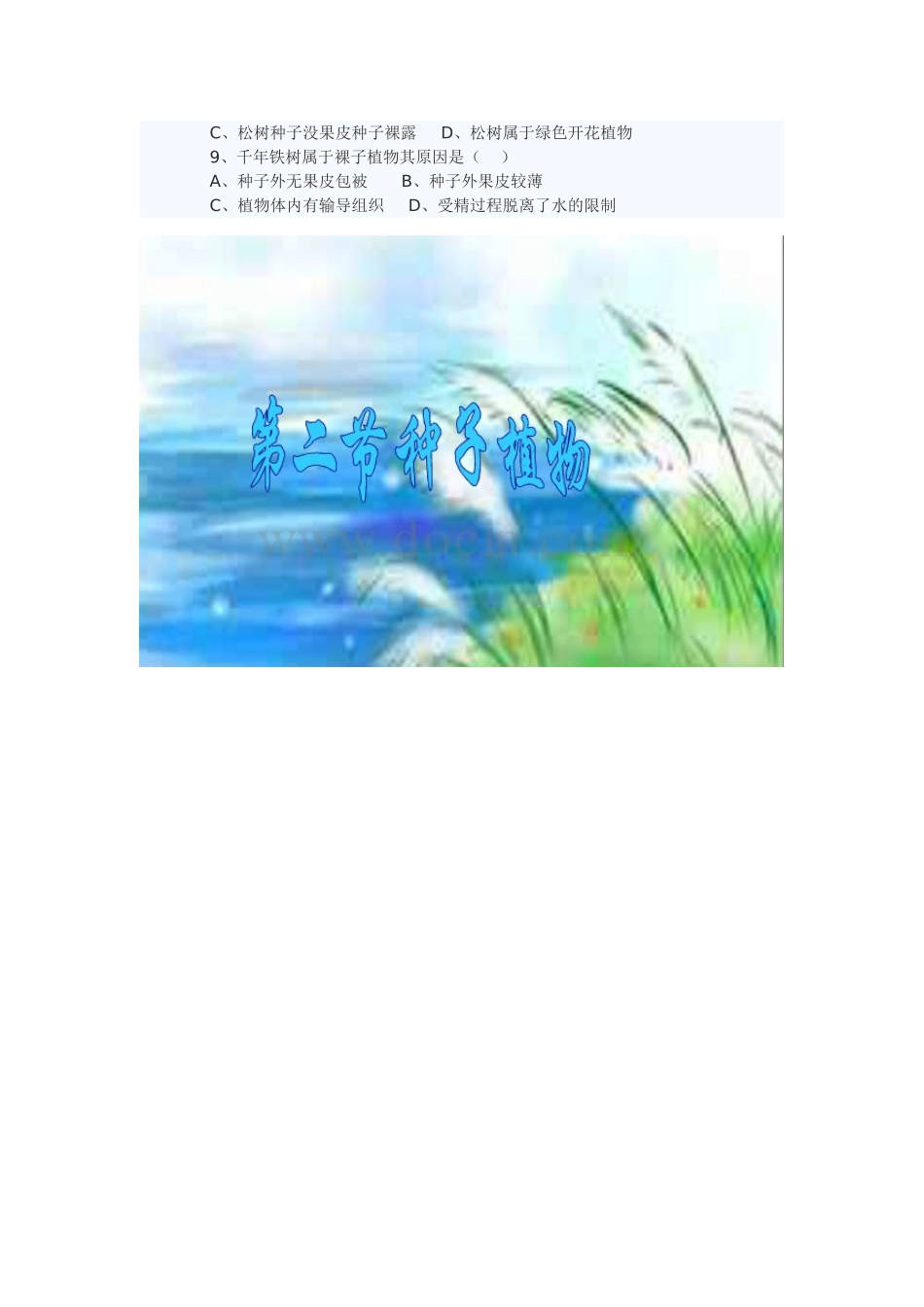 种子植物导学案_第2页