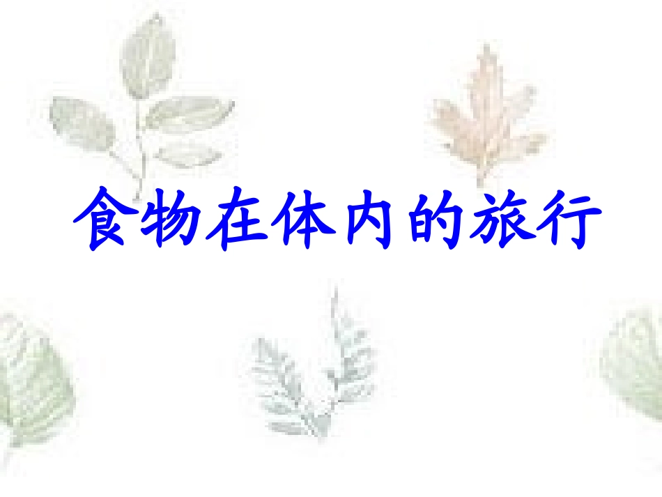 食物在人体内的旅行_第1页