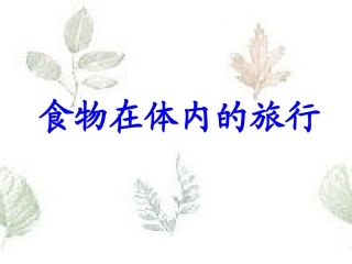 食物在人体内的旅行