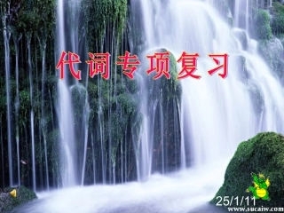 名词性物主代词