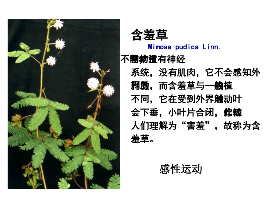 植物激素调节_第3页