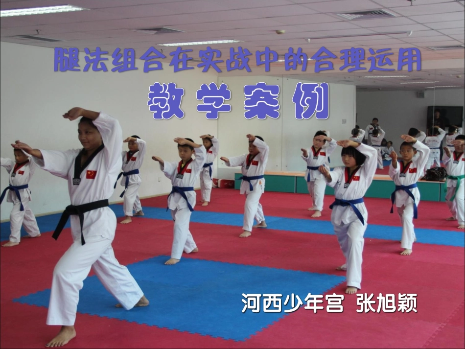 跆拳道学案例_第1页