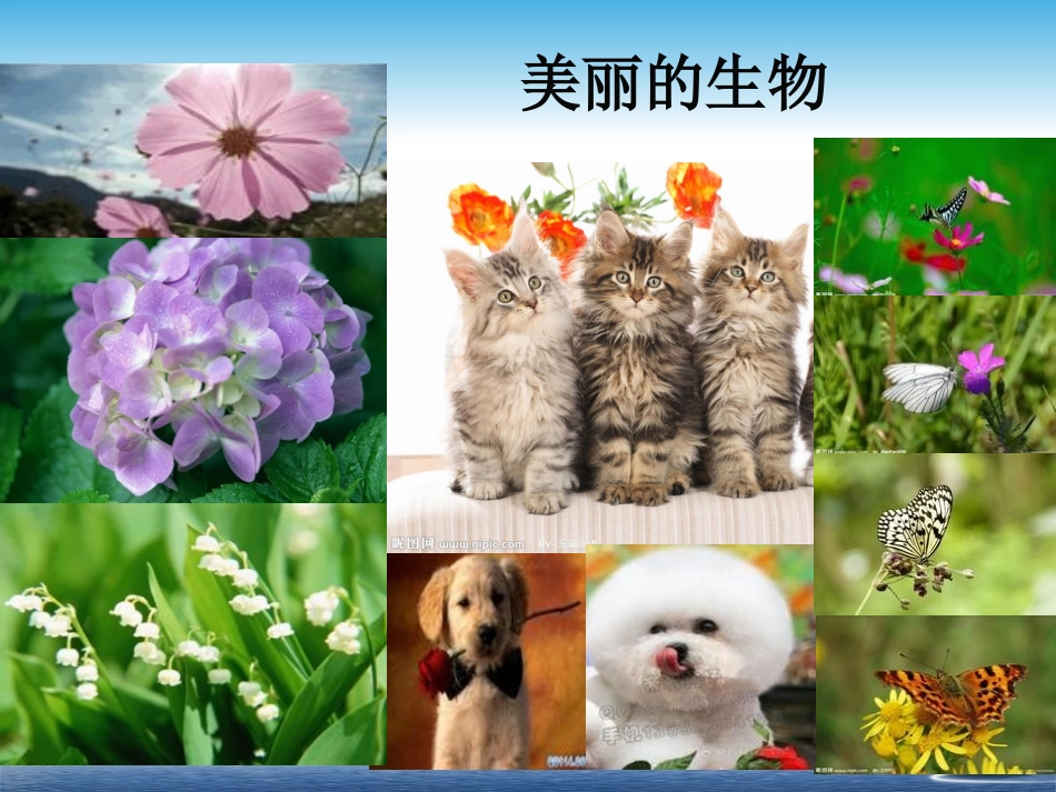 我们周围的生物_第3页