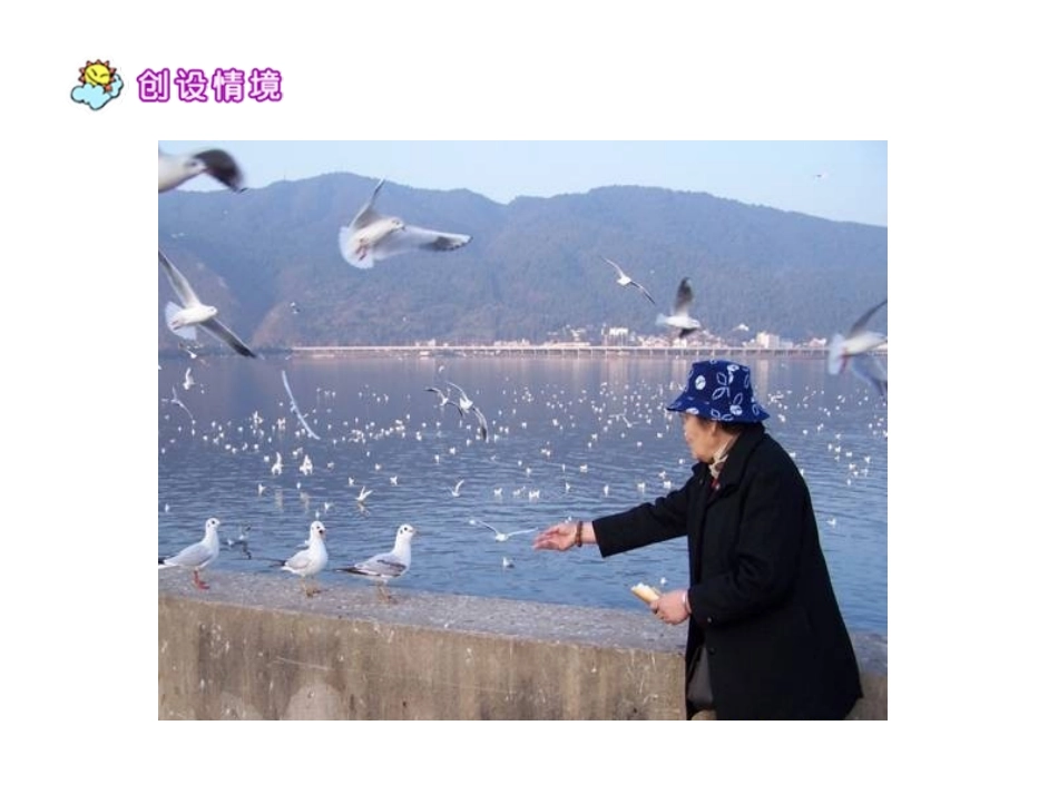 9老人与海鸥_第2页