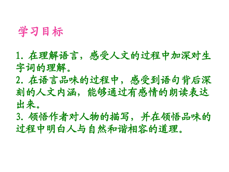 9老人与海鸥_第3页