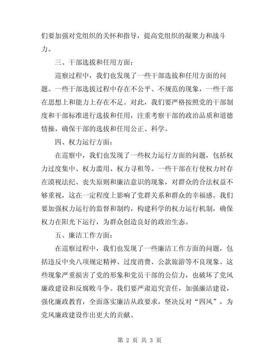 2024年在巡察反馈会上的表态发言模板_第2页