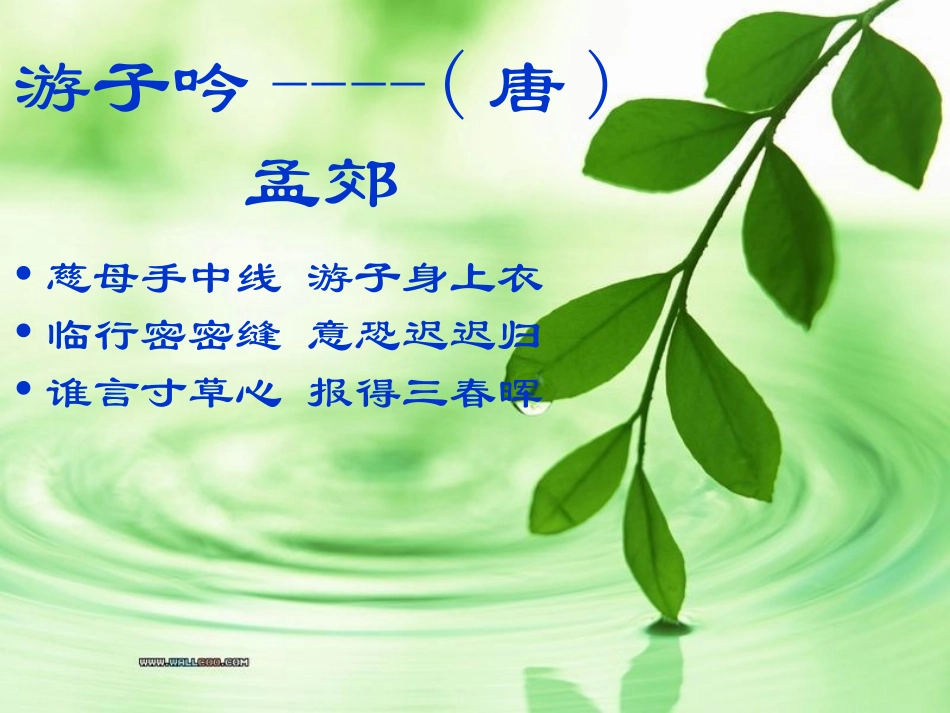 有关母爱的作文_第2页