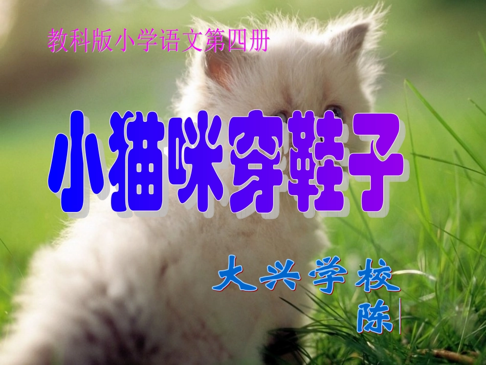 小猫咪穿鞋子_第1页