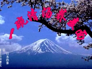 一碗清汤荞麦面