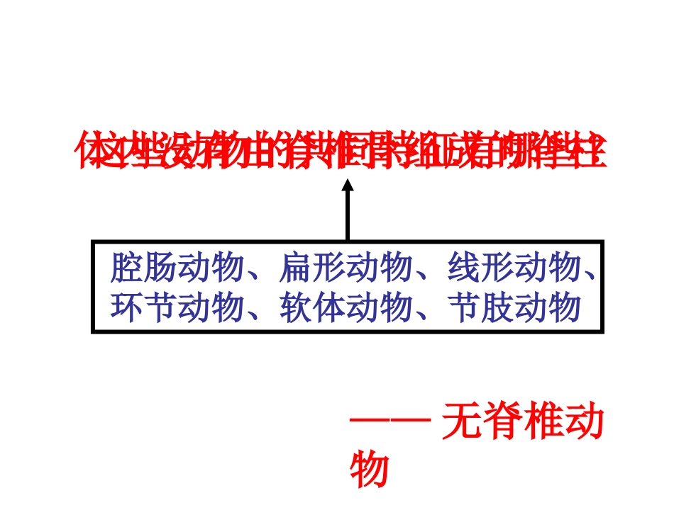 4第四节鱼（定）_第2页