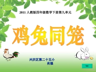 91鸡兔同笼