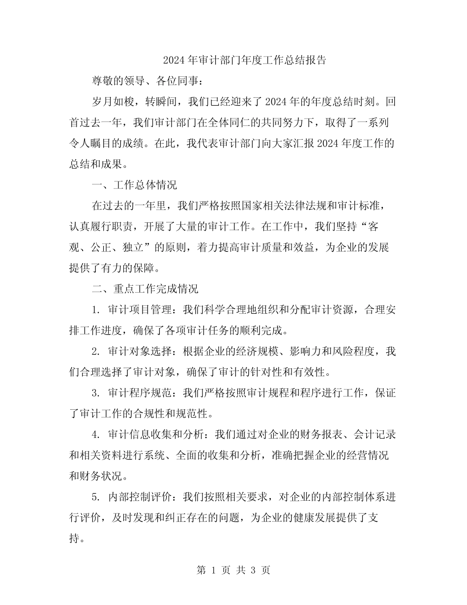 2024年审计部门年度工作总结报告_第1页