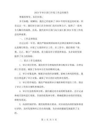 2024年审计部门年度工作总结报告
