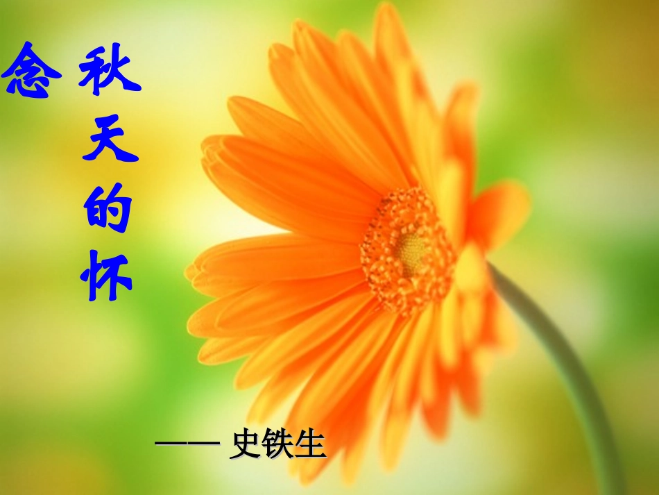 秋天的怀念教学_第2页