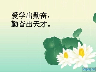 分数乘以分数