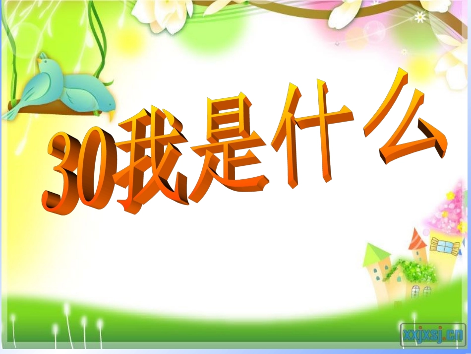 30我是什么 (2)_第1页