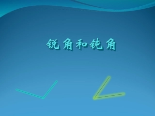 锐角和钝角 (2)