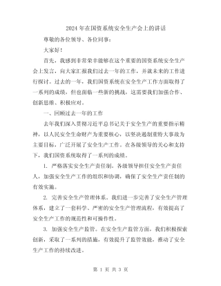 2024年在国资系统安全生产会上的讲话 