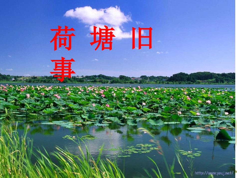荷塘旧事课件_第1页
