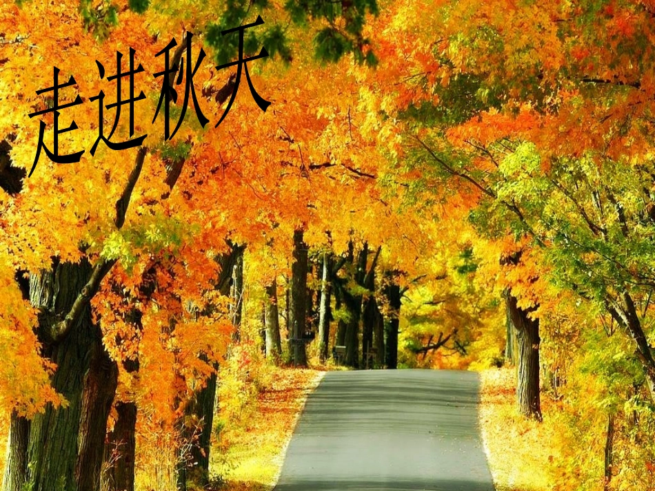 故都的秋 (2)_第3页