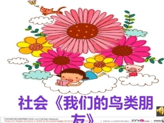 我们的鸟类朋友