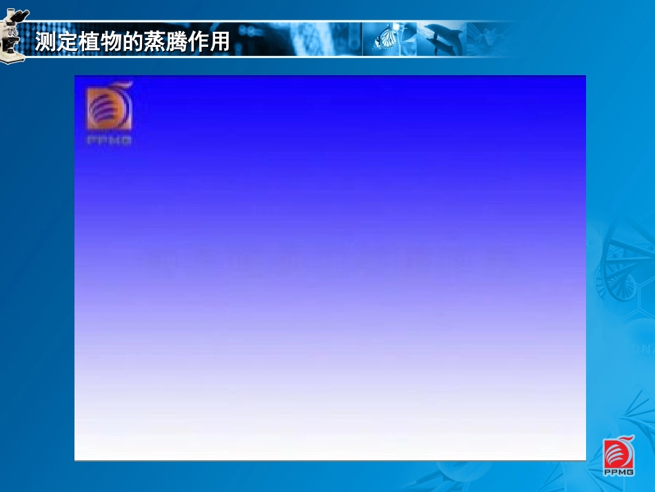 18植物的蒸腾作用-教学课件 (2)_第3页