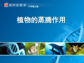 18植物的蒸腾作用-教学课件 (2)