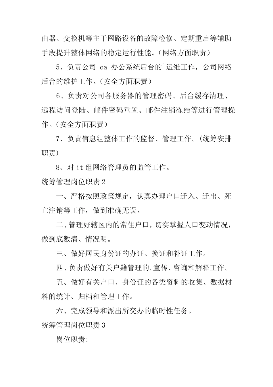 2024年统筹管理岗位职责 _第2页