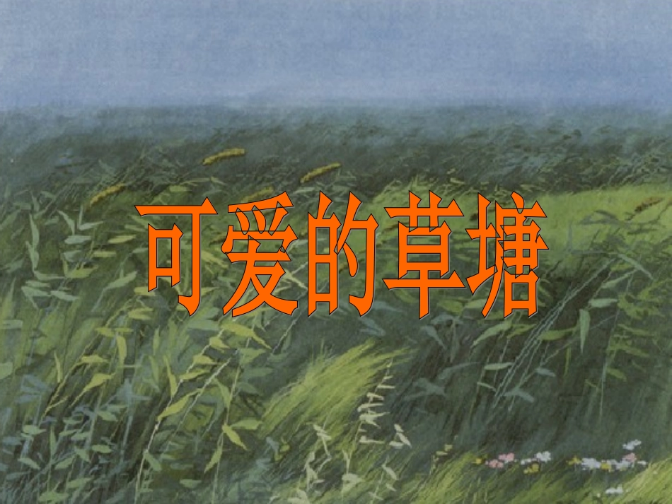 《可爱的草塘》_第1页