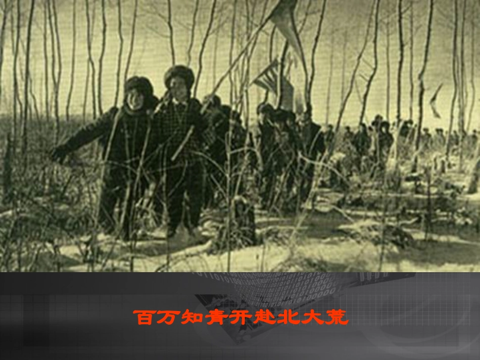 《可爱的草塘》_第2页