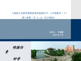 81二元一次方程组 (3)