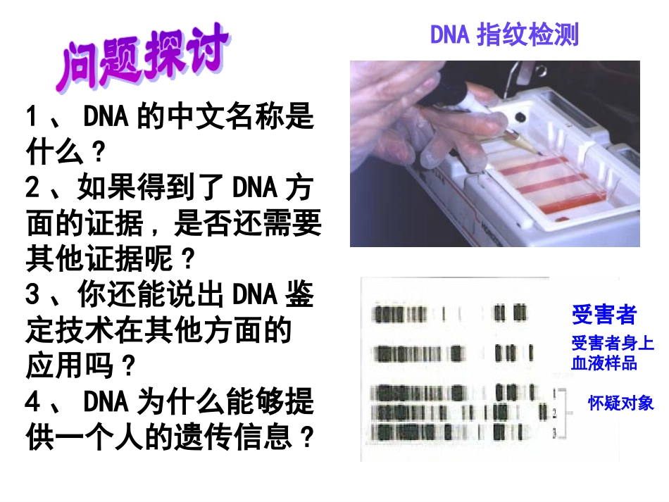 2-3遗传信息的携带者---核酸（wsy）_第1页