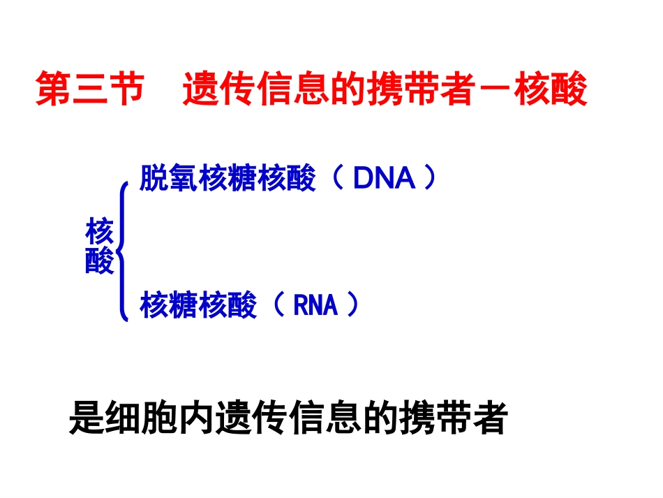 2-3遗传信息的携带者---核酸（wsy）_第2页