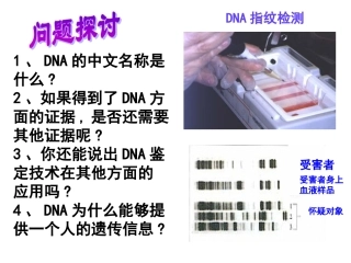 2-3遗传信息的携带者---核酸（wsy）