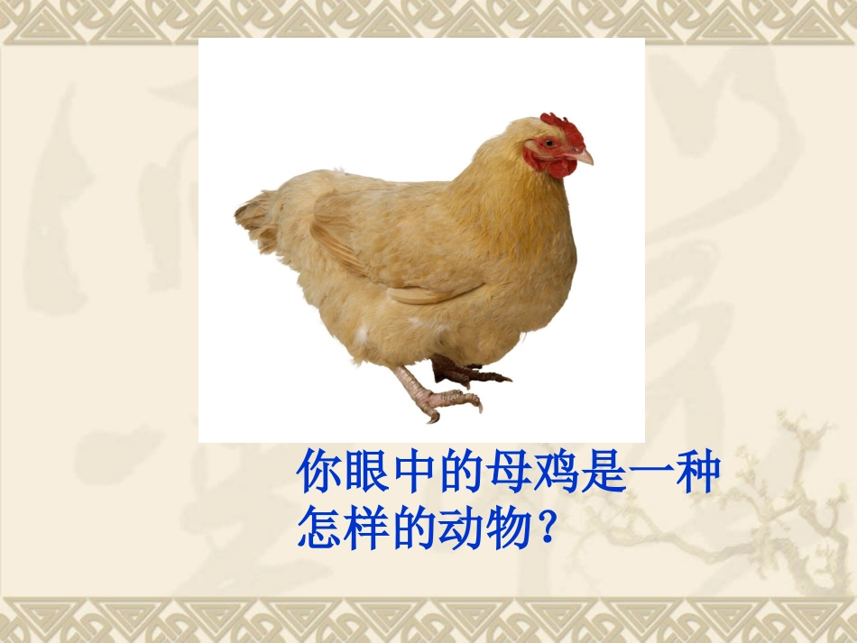 《母鸡》 (2)_第2页