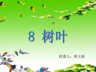 树叶生字课件