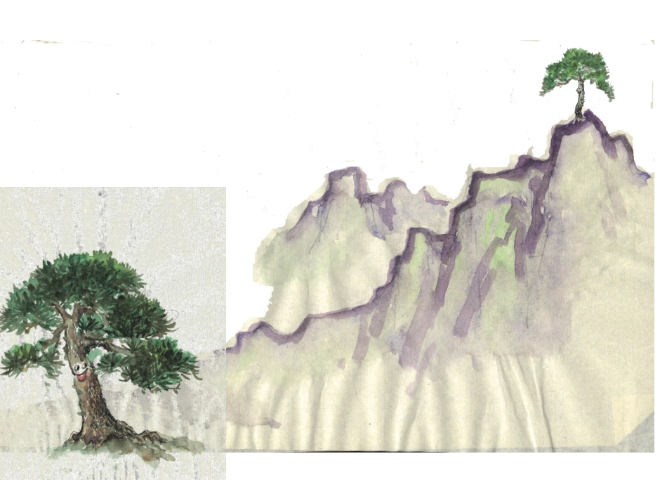 8、小松树和大松树_第3页