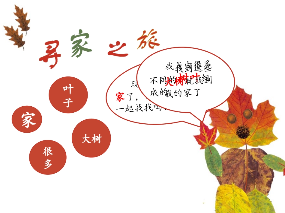 一上13观察叶_第2页