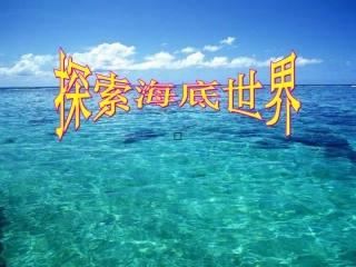 22海底世界课件 (2)