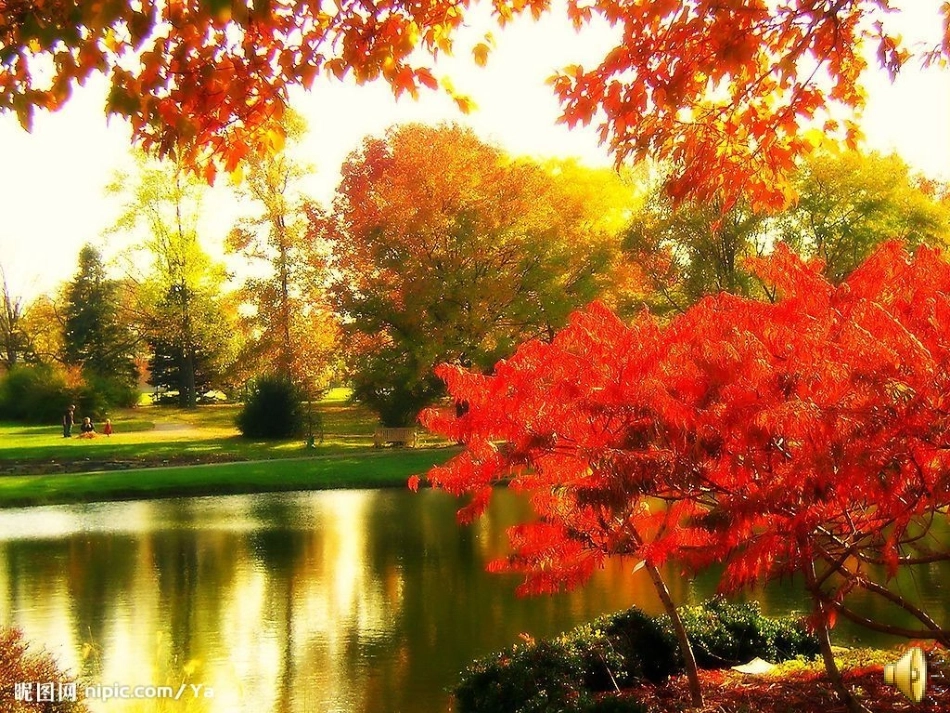 课件《西风的话》_第2页