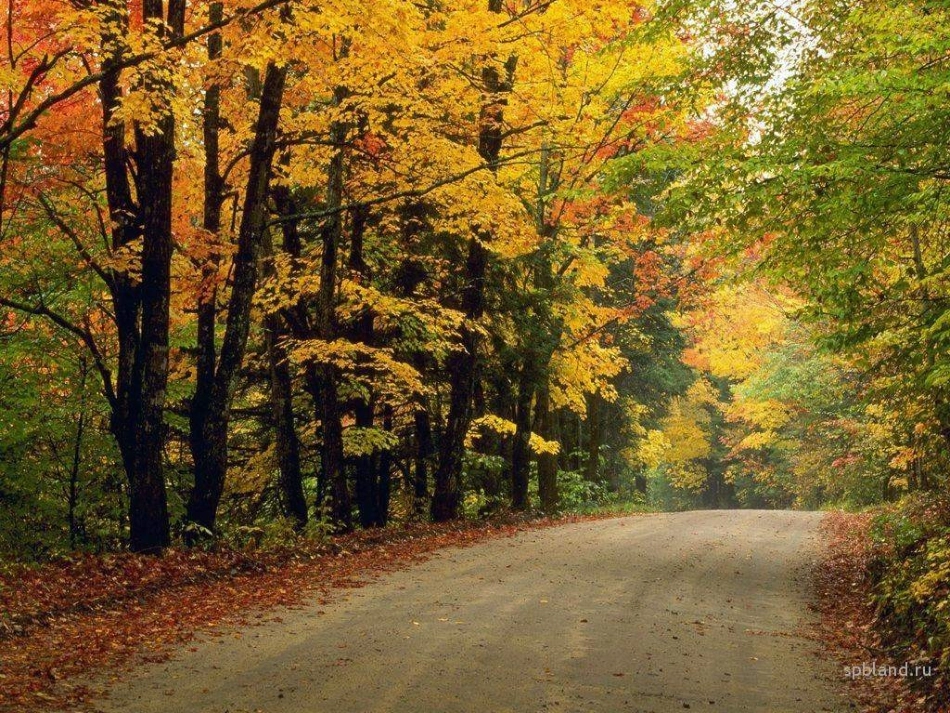 课件《西风的话》_第3页