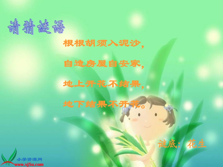 落花生 (7)_第1页