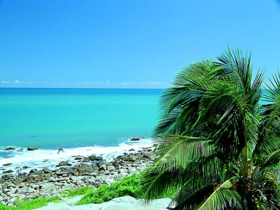 22富饶的西沙群岛 (2)_第2页