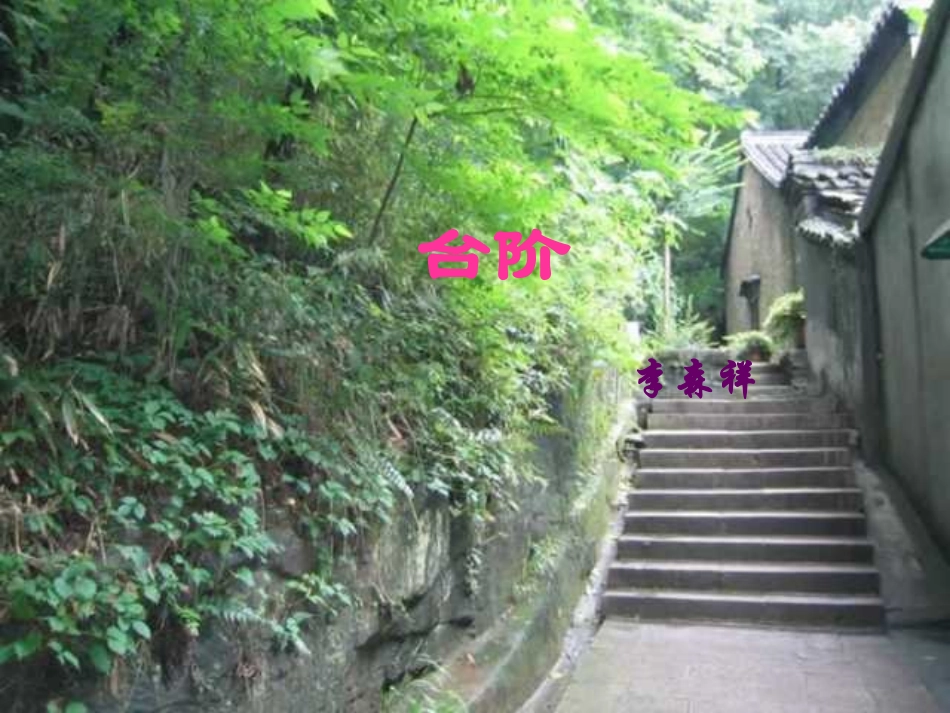 九年级语文台阶_第1页